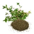 dried thyme